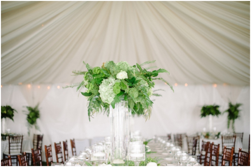 wpid-LakeMinnetonkaWedding_0535-2014-03-6-13-17.jpg