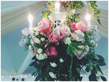 wpid-Instagram_0061-2014-08-19-08-031.jpg