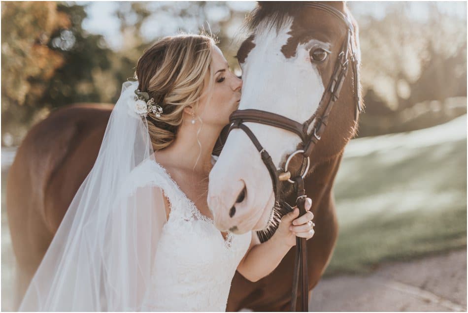 Minnesota farm wedding, horse wedding, MN wedding planner
