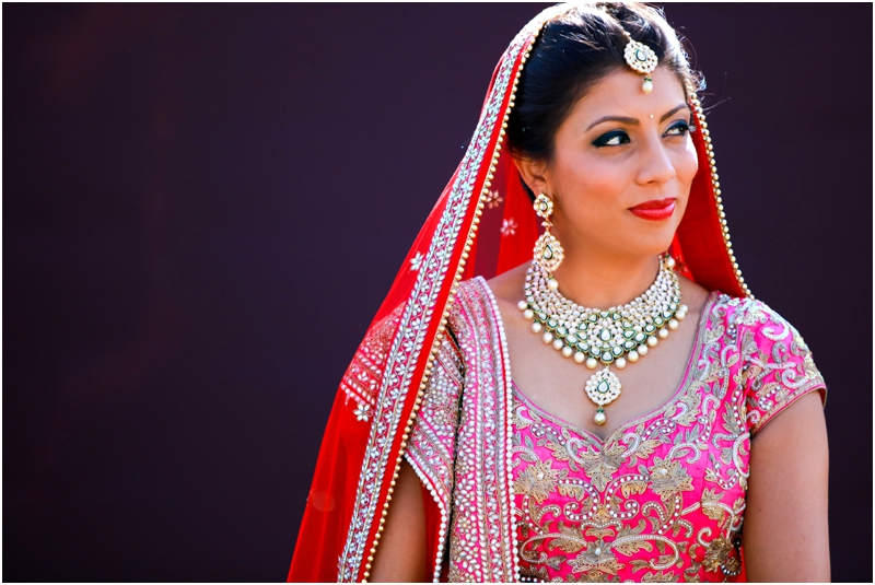 Minnesota_Hindu_Wedding_0075.jpg