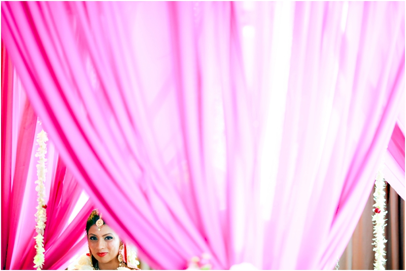 Minnesota_Hindu_Wedding_0081.jpg