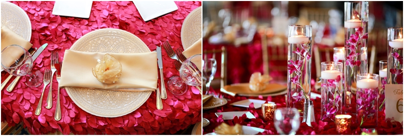 Minnesota_Hindu_Wedding_0085.jpg
