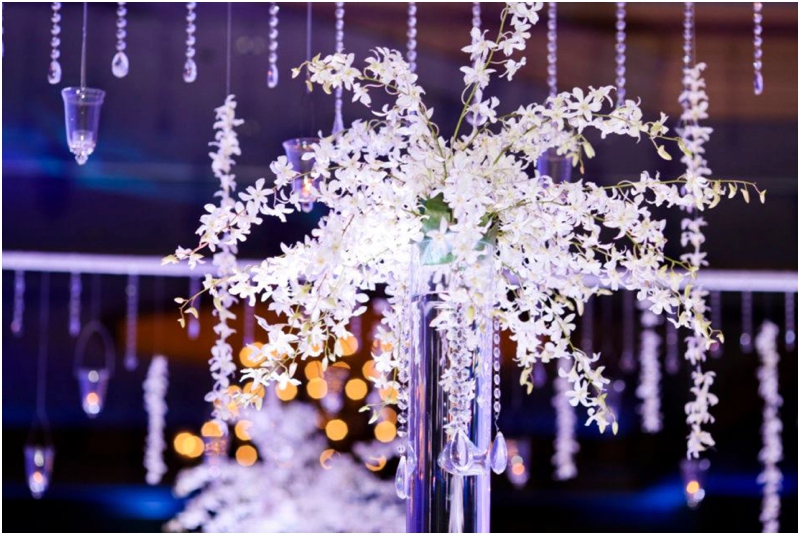 Minnesota Indian Wedding_0402