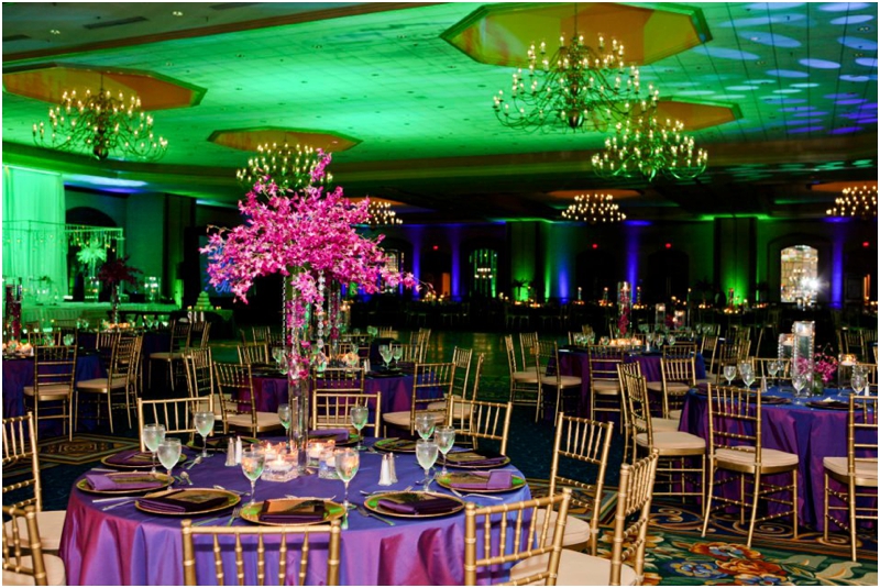 Minnesota Indian Wedding_0407